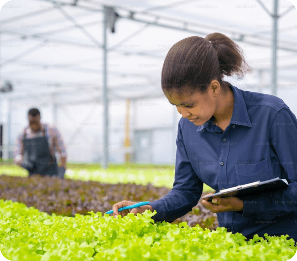 A woman inspecting crops in a greenhouse