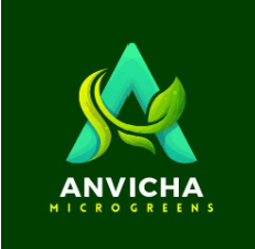 Ahvincha Logo